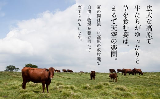 日本短角種 かづの牛専用 万能肉だれ（350g×3本）【秋田県畜産農業協同組合】 焼肉のたれ 万能ダレ タレ 調味料 甘い 甘み コク さわやか 炒め 煮込み 料理 牛肉 350g 3本 お取り寄せ ギフト お中元 お歳暮 ふるさと 返礼品 鹿角市 かづの 秋田 送料無料 