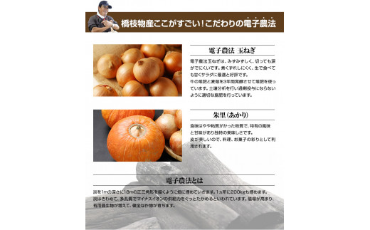 かぼちゃ(2玉)とたまねぎ(約5kg)のセット 橋枝物産 【10月上旬以降の発送】