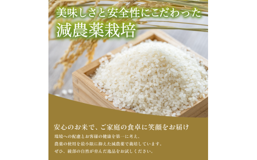 【令和6年産】新米 減農薬コシヒカリ 精米 3kg 【 米 コシヒカリ こしひかり 3キロ 3kg 精米 白米 こめ コメ お米 おこめ 農家直送 減農薬 低農薬 綾部 京都 森本ファーム 】