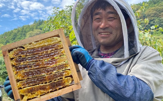 津和野の木や花の蜜を集めた天然百花蜜「里山の雫」(315g×2瓶)【1354901】