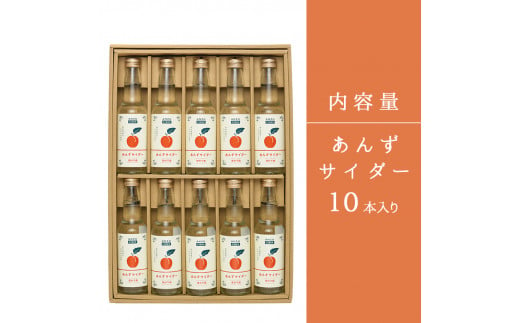  信州千曲 ご当地サイダー あんずサイダー ギフトセット(250ml×10本)