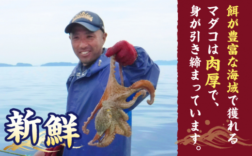 天然 タコ ボイル済み ゑべす蛸 3匹（計2kg）  西海市 海鮮 海の幸 天然 タコ 蛸 たこ 冷凍 ＜大瀬戸町漁協＞ [CAR008]