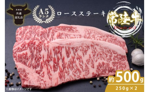 最高級A4.A5ランク 常陸牛ロースステーキ500ｇ（250ｇ×2）【人気肉 お肉 牛肉 和牛 黒毛和牛 国産黒毛和牛 ロース肉 ステーキ 国産牛 焼肉 焼き肉 バーベキュー BBQ A5 ブランド牛】(CR001)