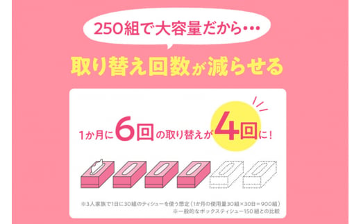 《3ヶ月ごとに4回お届け》定期便 ティッシュペーパー スコッティ フラワーボックス250組 60箱(5箱×12パック) ティッシュ 最短翌日発送【レビューキャンペーン中】