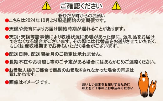 ＜ 予約 定期便 全6回 ＞ 北海道産 希少米 おぼろづき 白米 計 10kg (5kg×2) ＜2024年10月より配送＞ 新米 お米 米 こめ 北海道米