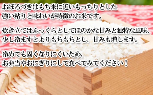 ＜ 予約 定期便 全6回 ＞ 北海道産 希少米 おぼろづき 白米 計 10kg (5kg×2) ＜2024年10月より配送＞ 新米 お米 米 こめ 北海道米