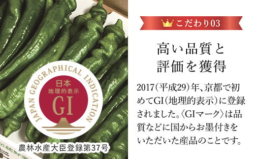 ＜2024年7月発送開始！＞京のブランド産品　万願寺甘とう　秀品 1kg  ふるさと納税 京野菜 旬の野菜 万願寺 甘とう とうがらし 大型 肉厚 甘い 京都府 福知山市