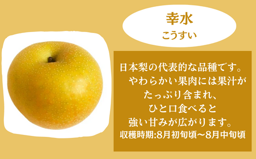 幸水…やわらかい果肉には果汁がたっぷりと含まれ、一口食べると強い甘みが広がります。