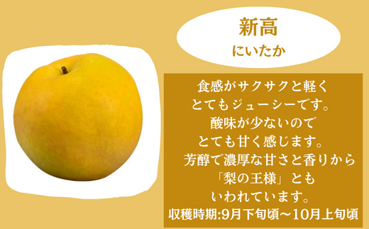 新高…食感がサクサクと軽くとてもジューシーです。酸味が少ないのでとても甘く感じます。