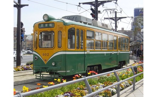 桜島火山灰製　600形電車（色付き）　K074-001