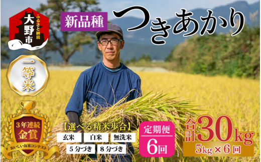 【令和5年産】【6ヶ月定期便】越前大野産 一等米 帰山農園の「つきあかり」5kg 5分づき