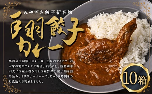 〈みやざき餃子新名物 手羽餃子カレー 10箱〉