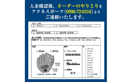 ＜軟式・投手用DUAL＞日本製野球グローブ Wilson軟式オーダーグローブ(1個) 阿久根市 特産品 デュアル スポーツ グラブ 袋付 箱入り オーダー 野球【アクネスポーツ】a-170-2