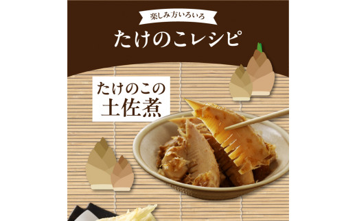 ＜道の駅たちばなオリジナル＞大釜湯がき筍 １kg（2025年4月～発送開始）