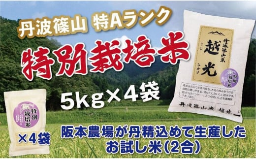 令和６年産　丹波篠山産　特Aランク　特別栽培米　越光（５ｋｇ×４袋）