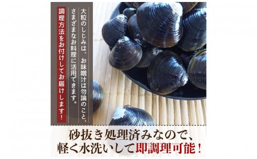 津軽十三湖産 大粒しじみ冷凍2.5kg（冷凍・砂抜き済）