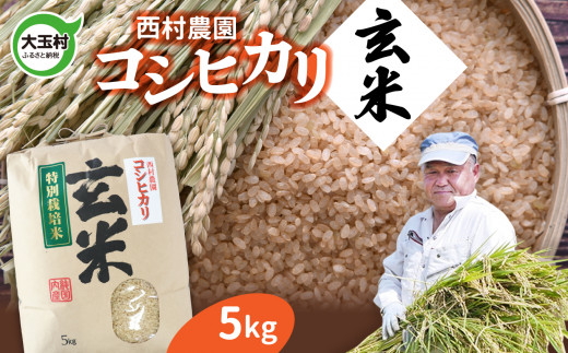 【令和4年産】【西村農園のお米】 コシヒカリ　玄米　5kg　【09029】