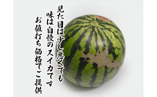 【先行予約2024年産・訳あり】青森県鰺ヶ沢町産 工藤さんが作ったスイカ 2玉 約7～8kg 品種おまかせ（羅皇、金色羅皇、羅皇 ザ・スウィート、羅皇ロング、ブラックジャック）