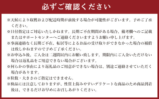 肥後グリーンメロン 2玉 合計約4kg以上