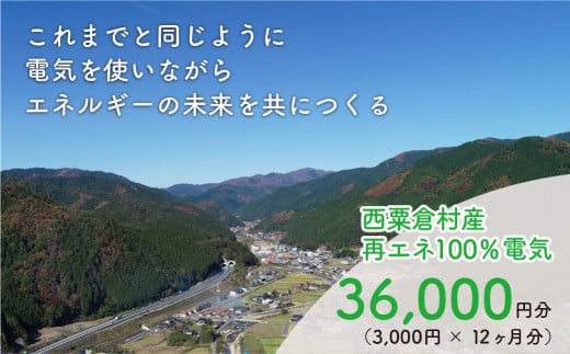 電気料金 （3,000円✕12ヶ月分） 百森でんき CO2フリー 地域電力 お礼の電気 脱炭素 ゼロカーボン 岡山県 西粟倉村 【まずは寄付のお申し込みを！】 e-vv-A03D