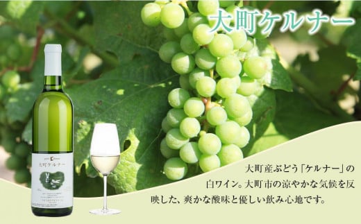 酒 ワイン 白ワイン ケルナー 大町産 1本 × 720ml