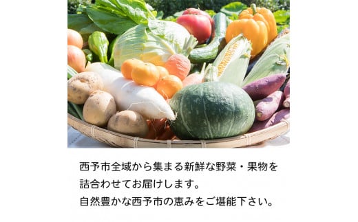 せいよ旬の野菜・果物詰合せセット