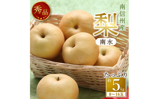 【南信州産】　南水　秀品約5kg（8玉～16玉）＜9月中旬から順次発送＞