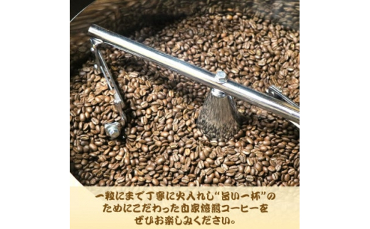 自家焙煎スペシャルティコーヒー(豆)＜焙煎度＞3種飲み比べセット100g×3袋【1392608】