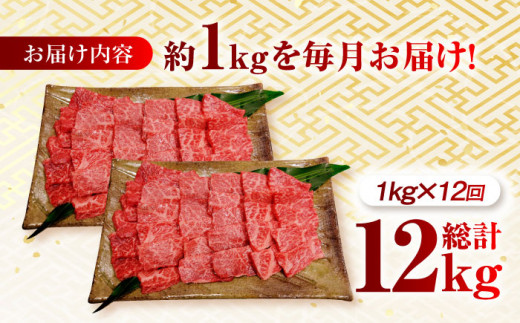 【月1回約1kg×12回定期便】長崎和牛 ロース 焼肉用 計12kg 長崎県/長崎県農協直販 [42ZZAA170]  肉 牛 和牛 ロース 焼肉 焼き肉 西海市 長崎 九州 定期便