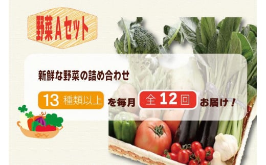 【毎月お届け全12回】旬の新鮮野菜セットＡ（たっぷり13種類以上）