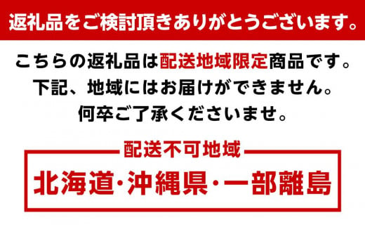 【毎月お届け全12回】旬の新鮮野菜セットＡ（たっぷり13種類以上）