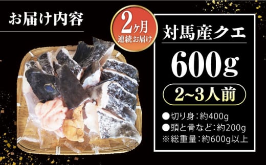 【全2回定期便】対馬 産 クエ 鍋 セット 600g (2～3人前)《対馬市》【対馬地域商社】九州 長崎 海鮮 [WAC056]