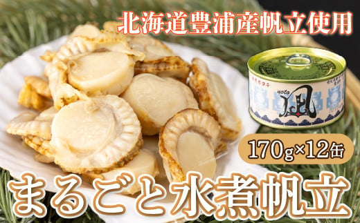 北海道 豊浦 噴火湾産 まるごと水煮帆立 170g×12缶 ほたて ホタテ 【ふるさと納税 人気 おすすめ ランキング 魚介類 貝 帆立 ホタテ ほたて 噴火湾 水煮 缶 おいしい 美味しい 北海道 豊浦町 送料無料】 TYUAD017