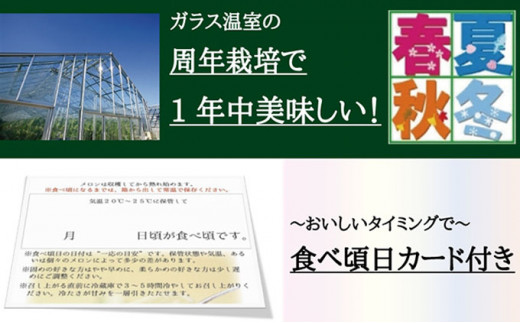 数量限定！『クラウンメロン 山等級 ”極みメロン” 2玉』 【桐箱入】 人気 厳選 ギフト 贈り物 デザート グルメ 果物 袋井市