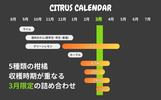 1年のうち、5種類もの柑橘の収穫時期が重なるのは3月だけ。この時期限定の詰め合わせです。