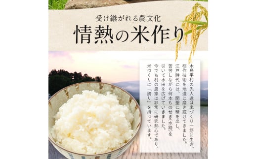 木島平産 木島平村産 風さやか 約5kg | 米 風さやか 特別栽培米 低農薬 長野 長野県 長野県産 木島平村 木島平村産