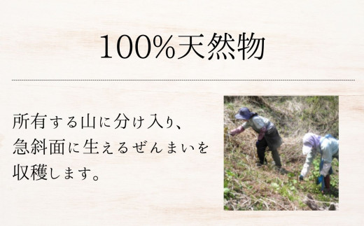 100%天然物 特上 干しぜんまい 120g 令和6年産 新物【乾燥ぜんまい 干しぜんまい 天日干し 手もみ 乾物 新潟県 糸魚川市 山菜 ゼンマイ 能生 完全手作業 完全天日乾燥 笠原建設 煮物 炒め物 ナムル】