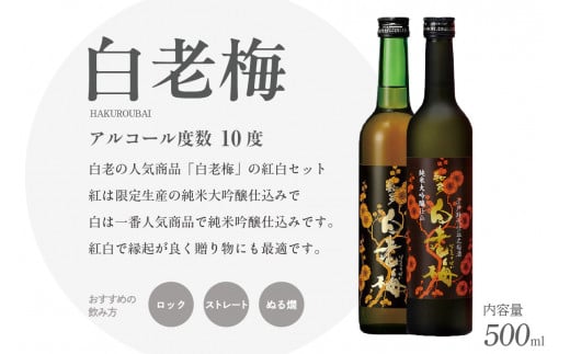 知多の梅酒「白老梅」純米吟醸、純米大吟醸のセット ／ お酒 リキュール 佐布里梅 愛知県 特産品