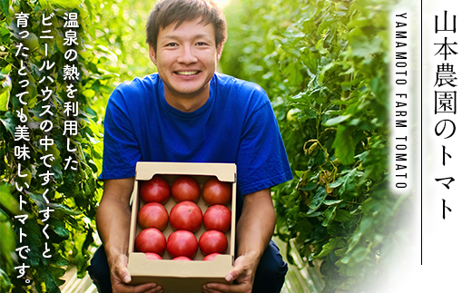 【先行予約】箱いっぱい詰め！情熱トマト 約4kg（9月下旬より順次発送）《山本農園》 森町 トマト 北海道産 ふるさと納税 北海道 mr1-0137