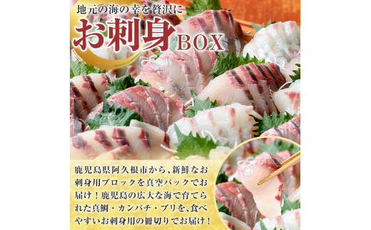 厳選お刺身BOX(8～12人前) 国産 お刺身 魚貝 魚介 鯛 カンパチ ブリ 海産物 刺身 おつまみ セット 【さるがく水産】a-40-10-z