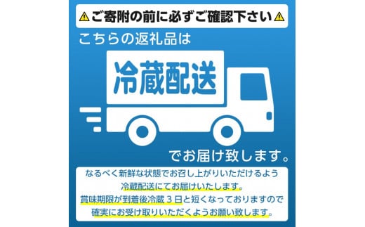 厳選お刺身BOX(8～12人前) 国産 お刺身 魚貝 魚介 鯛 カンパチ ブリ 海産物 刺身 おつまみ セット 【さるがく水産】a-40-10-z