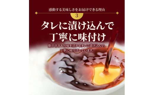 【冷凍】活〆日向灘真鯛とかんぱちの漬け丼2種食べ比べセット100g×8袋 N019-YZB232