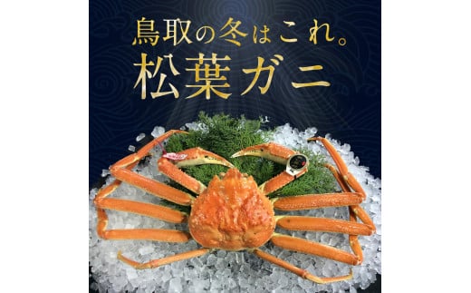 ６９５．【早期受付】【ボイル】訳あり　松葉ガニおまかせ3kg（5～8枚）
《かに カニ 蟹 ズワイガニ》
※着日指定不可
※2024年11月上旬頃から順次発送予定