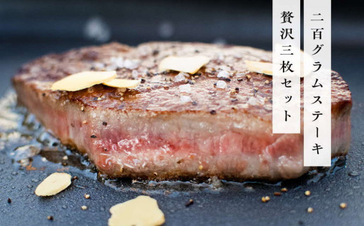 《佐賀牛》「梁井」希少部位 ヒレステーキ 3枚 600g【佐賀牛 ヒレステーキ フィレステーキ ヒレ肉 フィレ やわらか 上質 サシ 美味しい パーティー イベント ブランド肉】 J-C081014