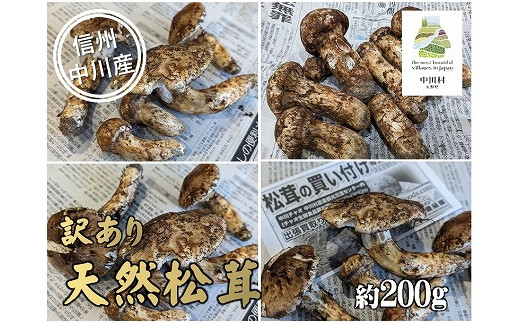 中川村の秋の味覚　松茸（訳あり）　約200g