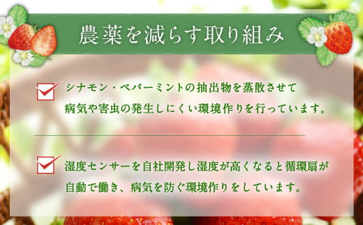 【アフター対応】あまおう 約280g×4パック【2025年1月上旬～3月下旬発送予定】