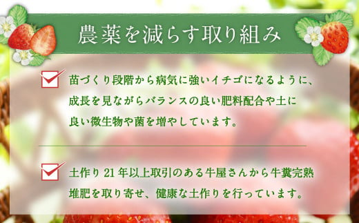 【アフター対応】あまおう 約280g×4パック【2025年1月上旬～3月下旬発送予定】