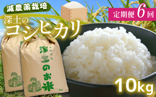 定期便6回 深土の特別米コシヒカリ 10kg×6(2ヶ月毎×6回) ｜ 有機肥料 減農薬 コシヒカリ 米 精米 美祢市 美祢 秋吉台 山口県 定期便