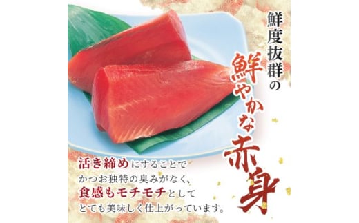 本場枕崎 一本釣り “ぶえん鰹”セット 800g HACCP認定工場 甘露タレ付き A3-307【1167025】