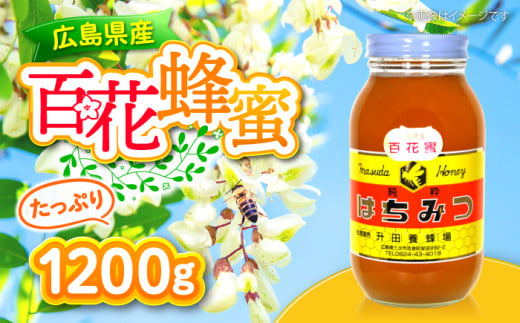 蜂蜜 贈答 ギフト 特産品 産地直送 取り寄せ お取り寄せ 送料無料 広島 三次 14000円